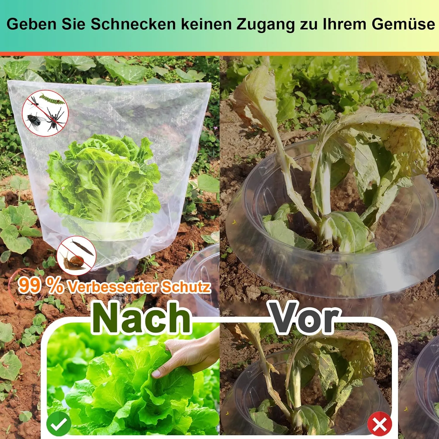 【12 Pieces】 6Pcs Upgraded Snail Collars with 6Pcs Plant Protection Bags, 99% Enhanced Snail Defense, Sturdy Slug Barrier Ring, 360° Effectively Protects Your Lettuce and Cabbage Plants