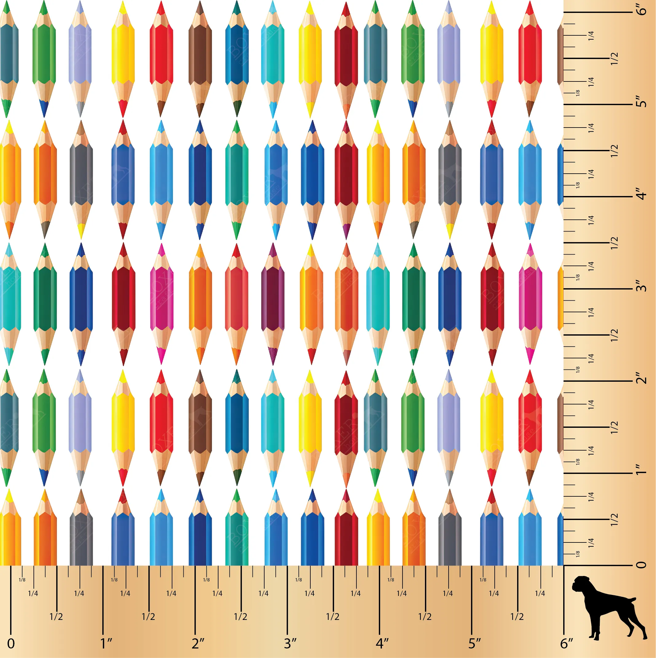 Back to School - Colored Pencils