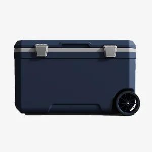 Car Camping Coolers for Ford Scorpio/Sierra/Taunus/Thunderbird/Taunus, Waterproof Portable Cooler, Leak Proof Picnic Insulated Bag, Ultra-Light Premium Ice Chest Box,C-Blue-70L