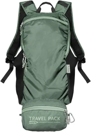 ChicoBag Travel Pack rePETe   Refine | Eco-friendly Lightweight and Packable Travel Backpack (Sage)