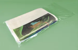 CleverDelights Newspaper Bags - 10" x 21" - 100 Pack - 0.8 Mil - Clear Flat Plastic Bags