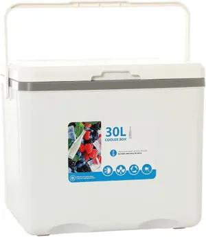 Cooler for Acura Concept/Integra/MDX/RDX/TLX/ZDX/CDX/CSX/ILX Insulated Hard Ice Box Large High-Performance Storage Box Portable Cool Picnic Box Festival Camping,A-38 * 30.5 * 34.5cm