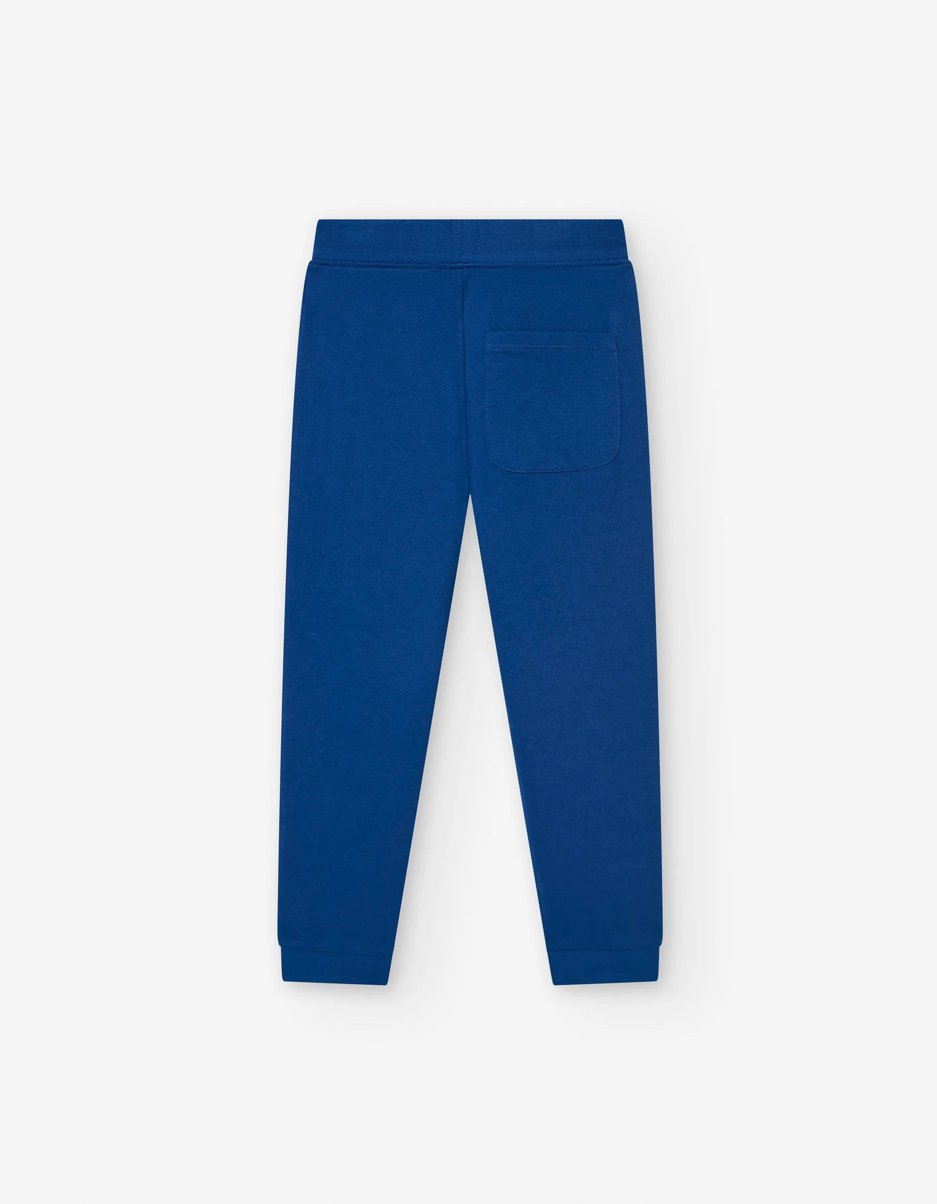 Cotton Joggers for Boys 'Chill Days', Blue