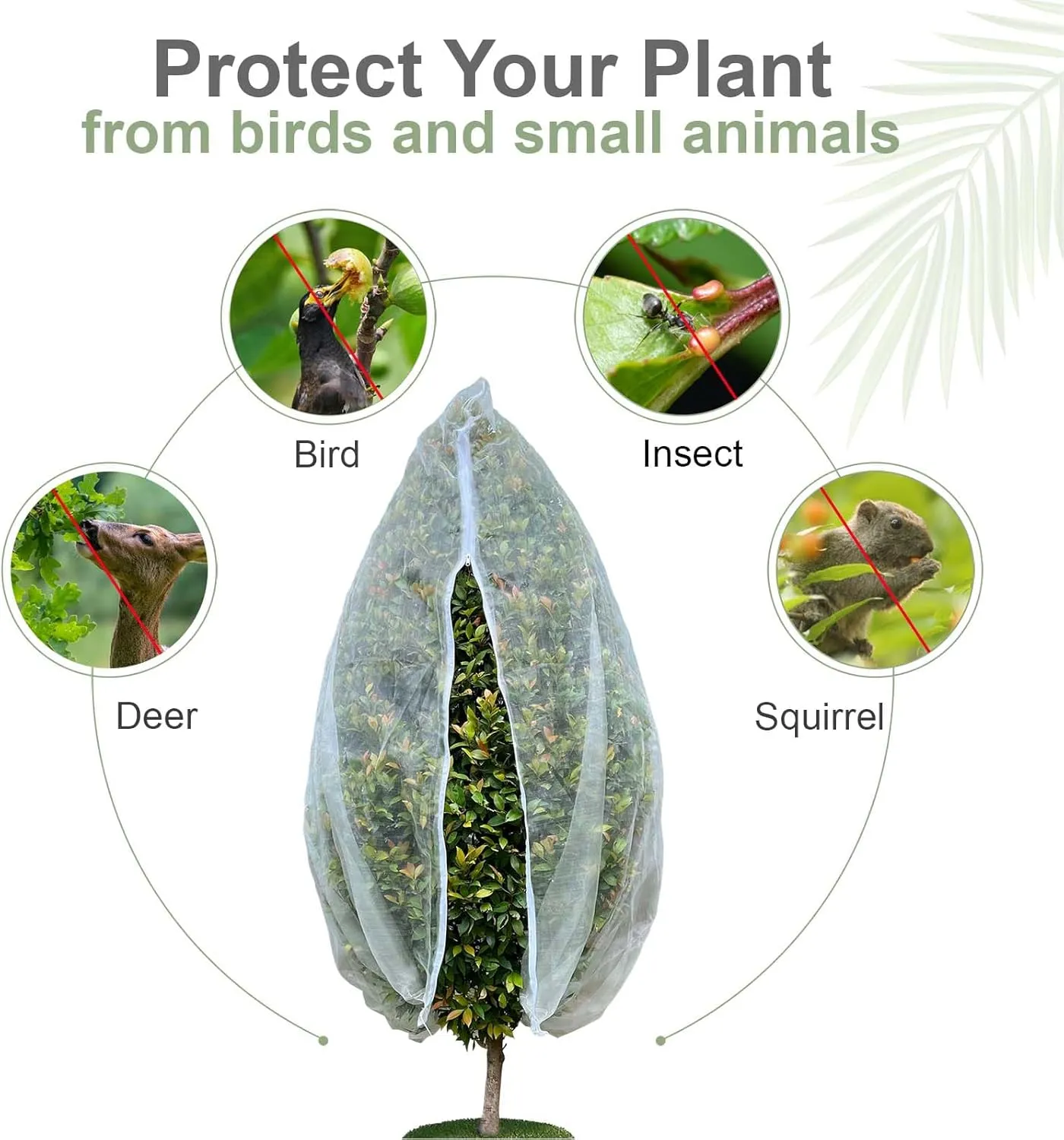 Fruit Tree Netting Cover with Zipper & Drawstring, 10ft x 9.5ft Insect Bird Barrier Netting for Garden Protection, Ultra Fine Mesh Garden Netting Pest Barrier, Extra Large, 1 Pack