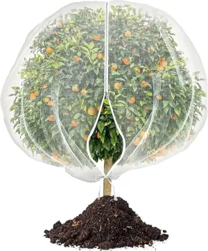 Garden Mesh Netting, Plant Protection Netting with Zipper/Drawstring, Plants Cover Protection from Anti Birds, Bugs Eating for Blueberry Reusable Plant Cover Bags (2)