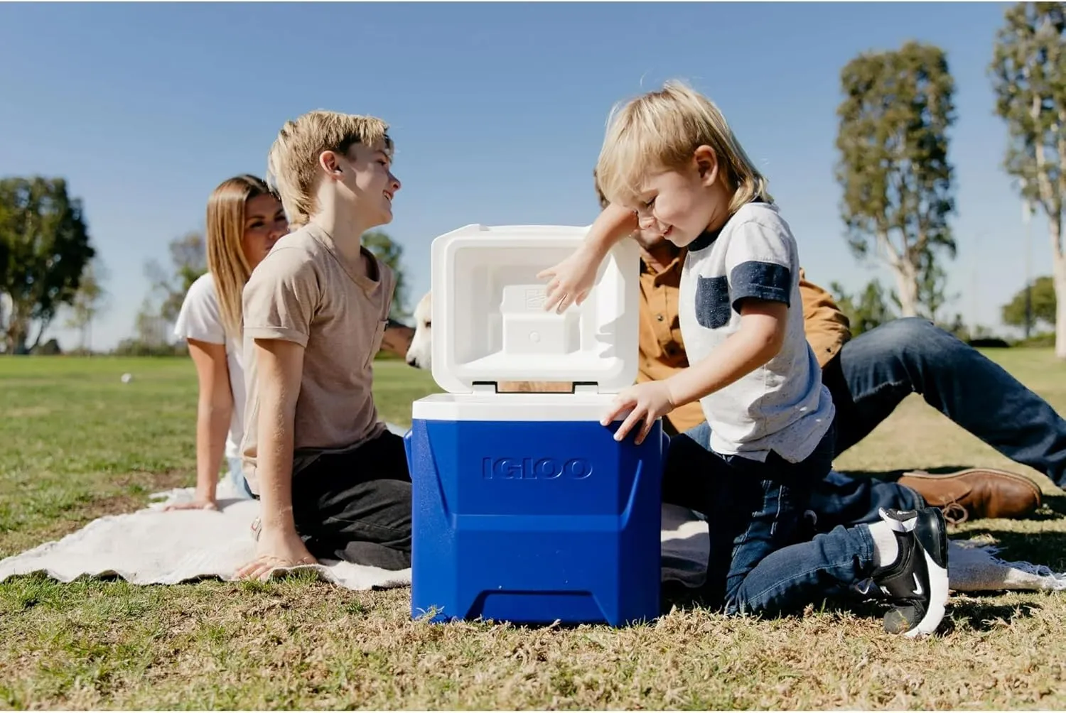Igloos Cooler Hard-Sided Ice Chest, Insulated Portable Cooler, Heavy-Duty, Leak-Resistant Lid, Lightweight Ergonomic Handle