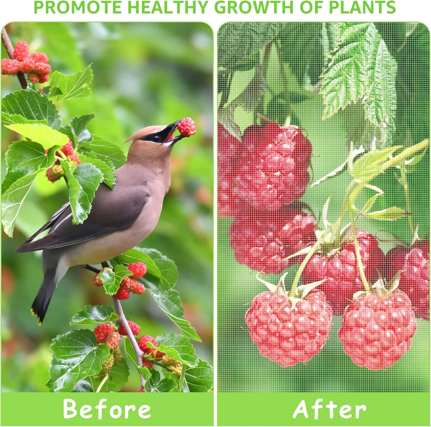 MIXC 6 Packs 3 Size Insect Netting Bags, Garden Bird Barrier Mesh Covers With Drawstring, Bug Netting Plant Protection Covers For Blueberry Tomato Vegetable Form Cicadas Bird Squirrels Eating
