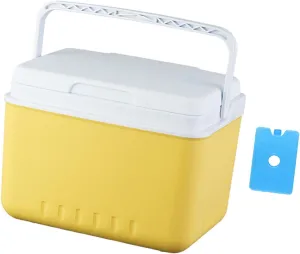 MYCENSE Insulated Ice Cooler Organizer Bucket Versatile Fridge Hard Ice Chest Box Camping Case for Picnic Beach BBQ Tailgating Travel