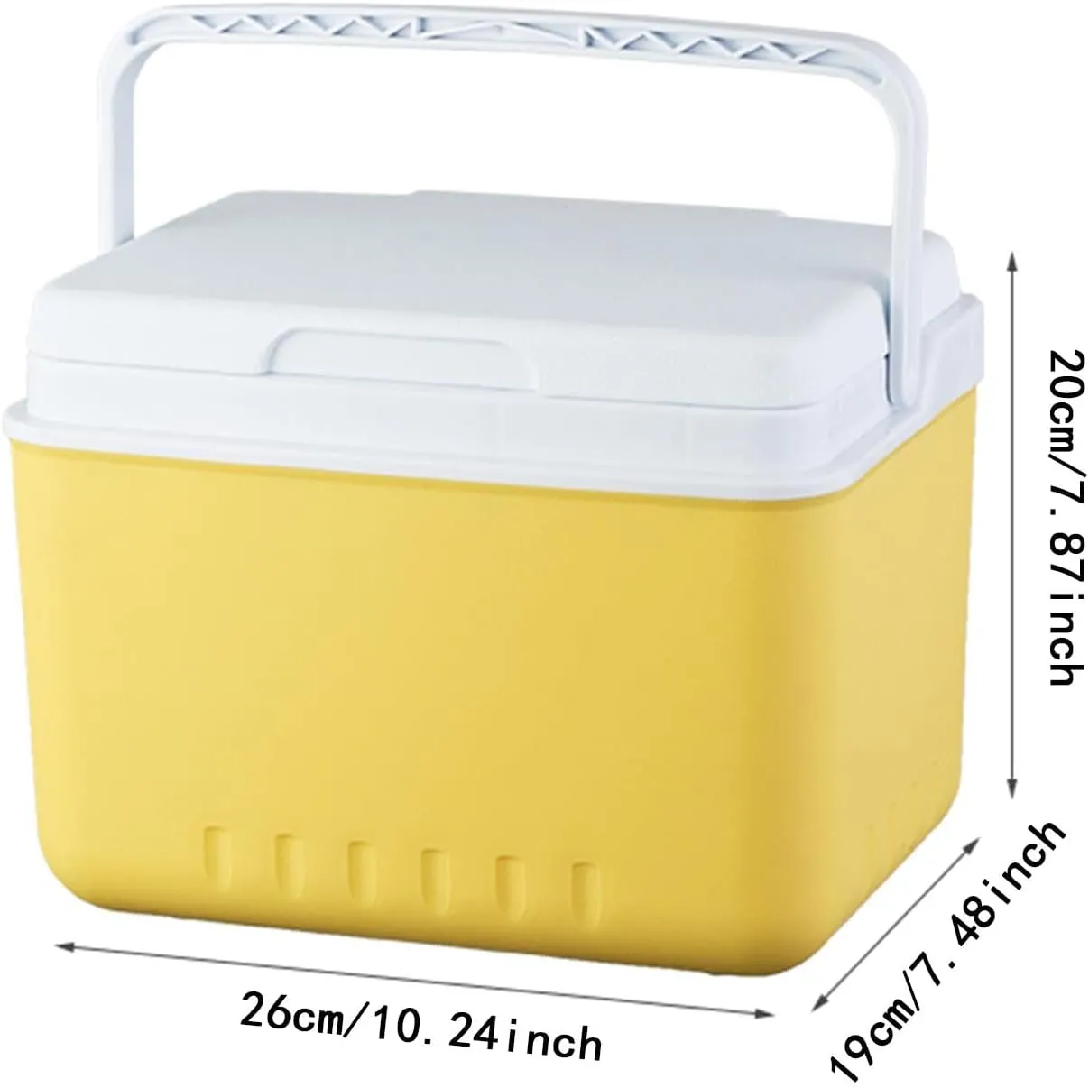 MYCENSE Insulated Ice Cooler Organizer Bucket Versatile Fridge Hard Ice Chest Box Camping Case for Picnic Beach BBQ Tailgating Travel