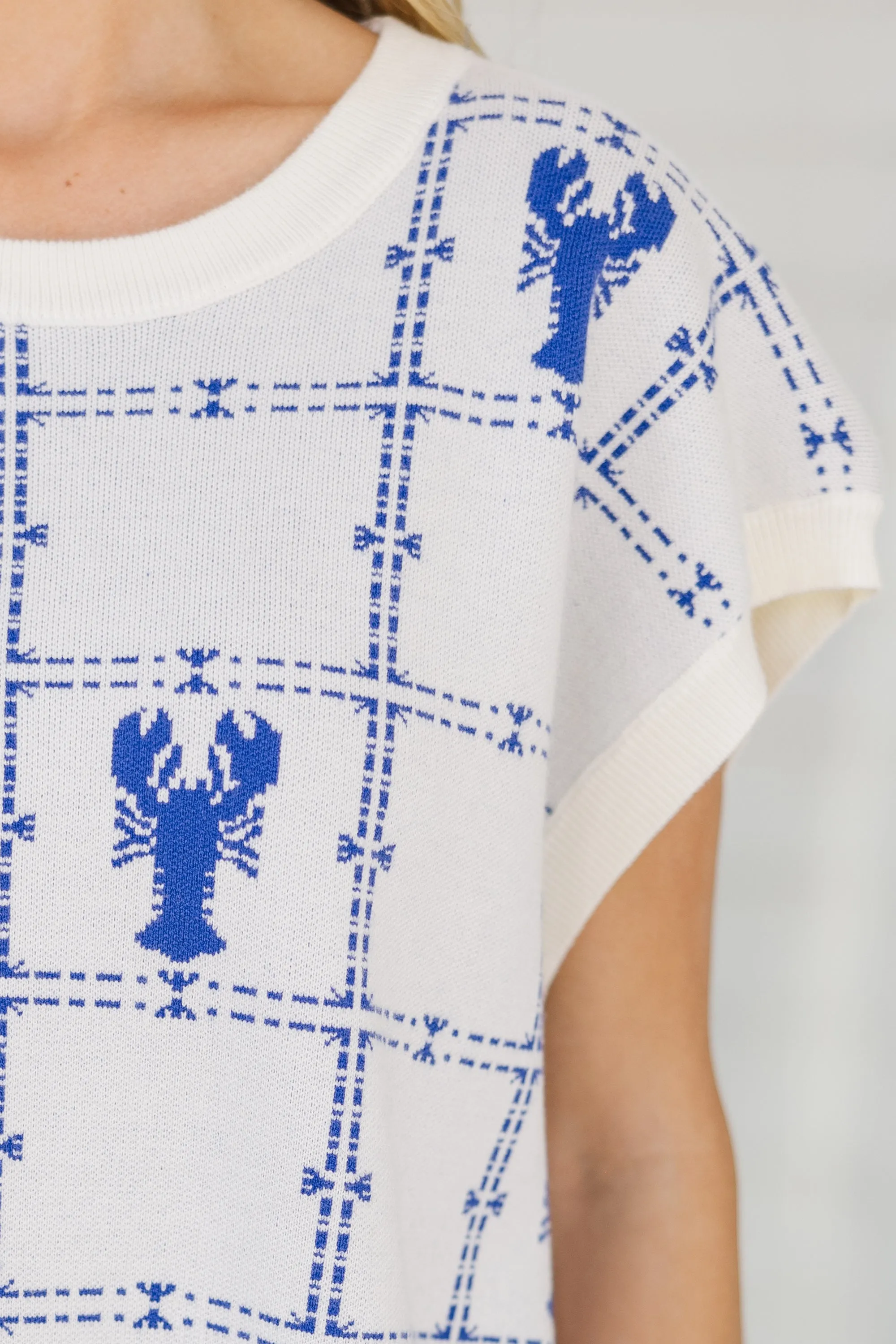 Thinking Of You Lobster Checkered Sweater