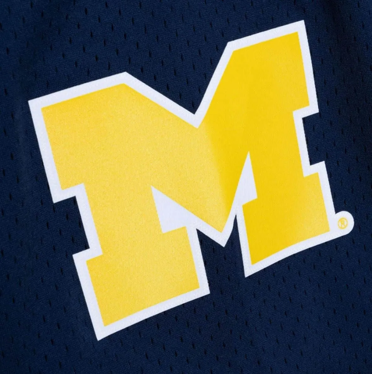 University of Michigan Men's Road 1991 Swingman Shorts